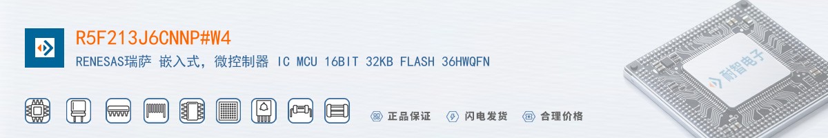 R5F213J6CNNP#W4������