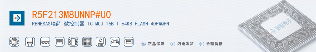 R5F213M8UNNP#U0������