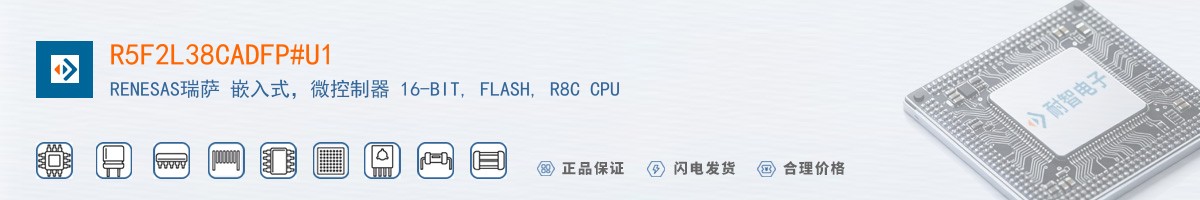 R5F2L38CADFP#U1������