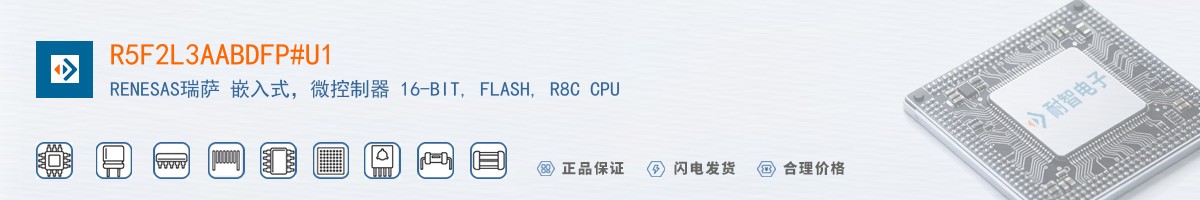 R5F2L3AABDFP#U1������