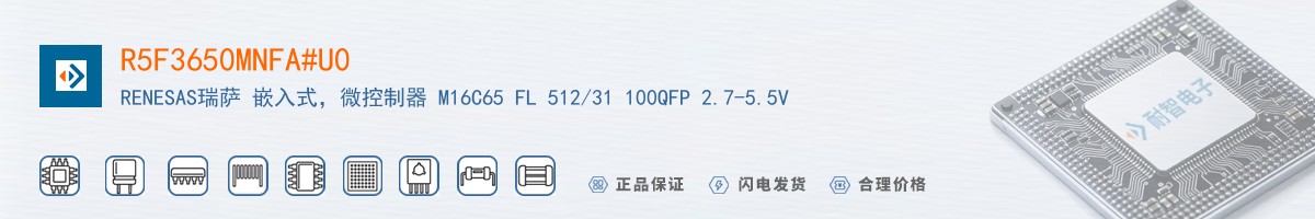 R5F3650MNFA#U0������