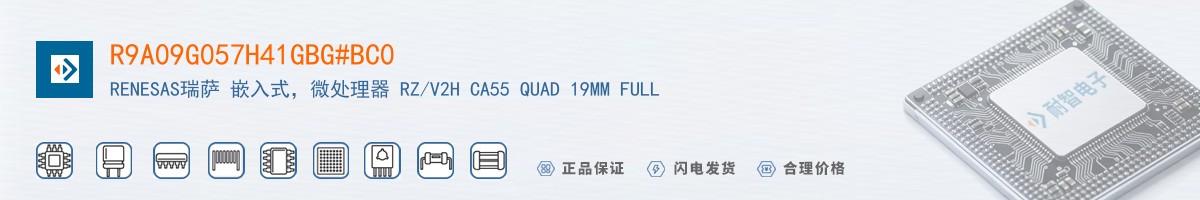 R9A09G057H41GBG#BC0������