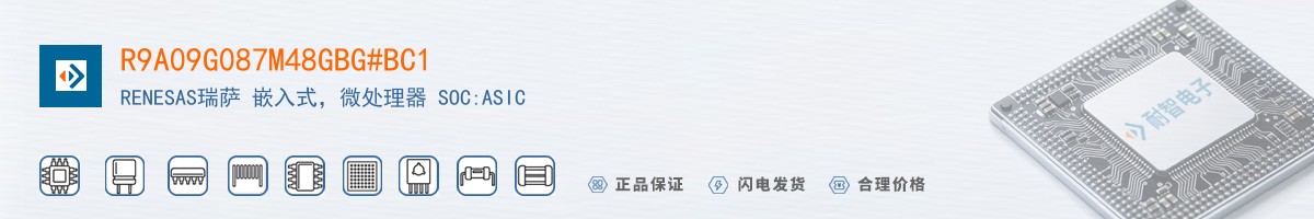 R9A09G087M48GBG#BC1������