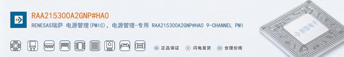 RAA215300A2GNP#HA0������