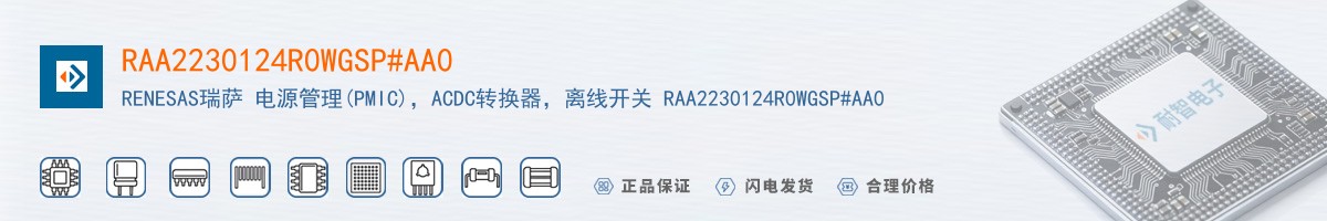 RAA2230124R0WGSP#AA0������