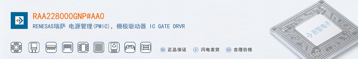 RAA228000GNP#AA0������