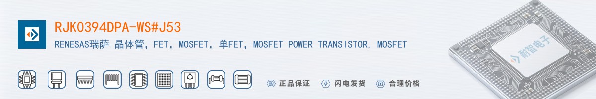RJK0394DPA-WS#J53������