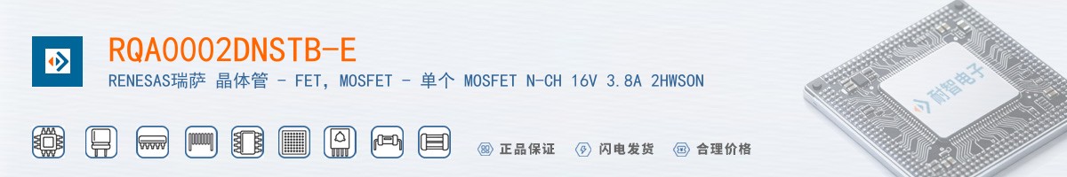 RQA0002DNSTB-E������