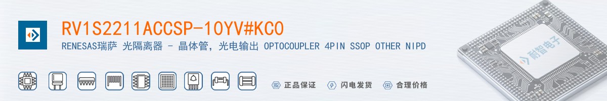 RV1S2211ACCSP-10YV#KC0������