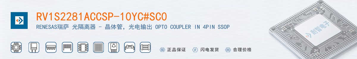 RV1S2281ACCSP-10YC#SC0������