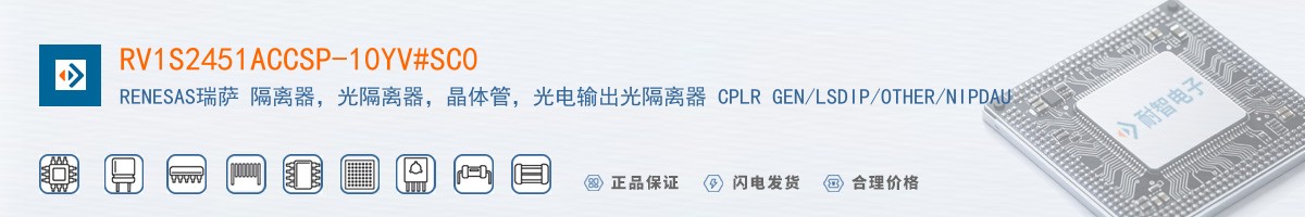 RV1S2451ACCSP-10YV#SC0������
