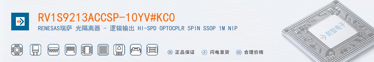RV1S9213ACCSP-10YV#KC0������