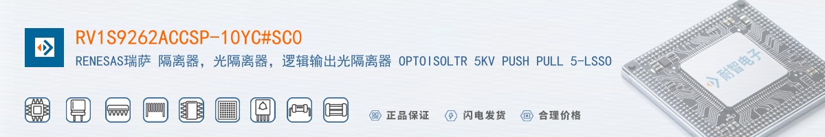 RV1S9262ACCSP-10YC#SC0������