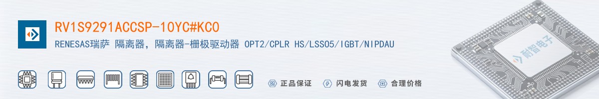 RV1S9291ACCSP-10YC#KC0������