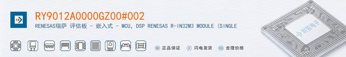 RY9012A0000GZ00#002������