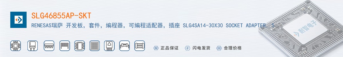 SLG46855AP-SKT������