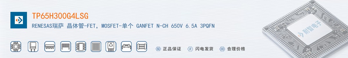 TP65H300G4LSG������