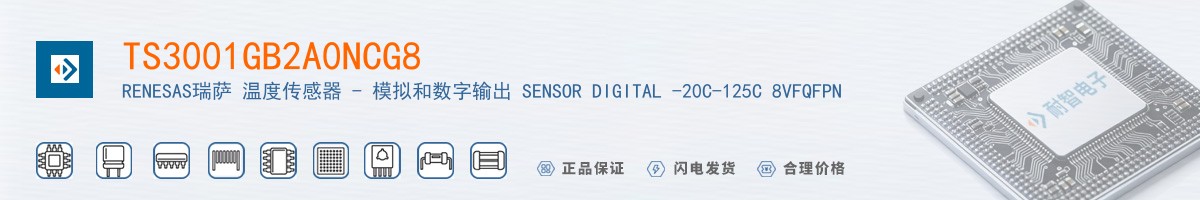 TS3001GB2A0NCG8������