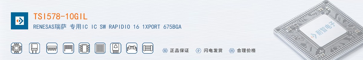 TSI578-10GIL������