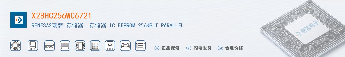 X28HC256WC6721������