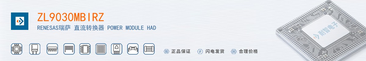 ZL9030MBIRZ������