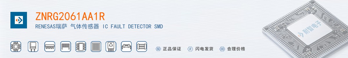 ZNRG2061AA1R������