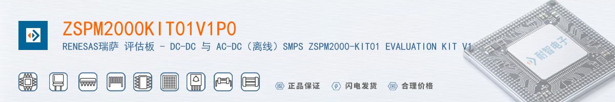 ZSPM2000KIT01V1P0������