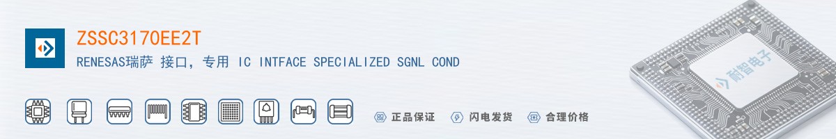 ZSSC3170EE2T������