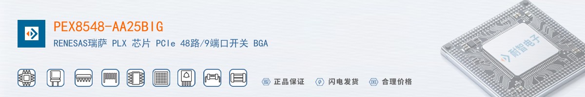 PEX8548-AA25BIG������