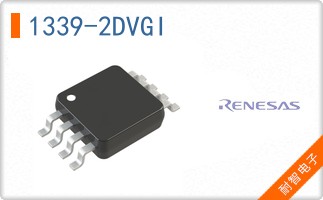 1339-2DVGI