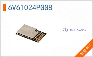 6V61024PGG8