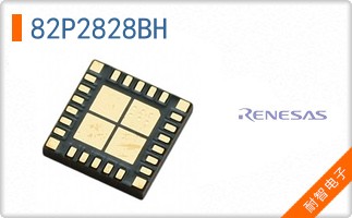 82P2828BH