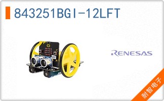 843251BGI-12LFT
