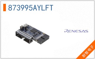 873995AYLFT