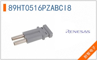 89HT0516PZABCI8
