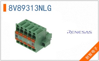8V89313NLG