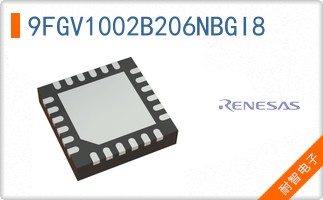 9FGV1002B206NBGI8