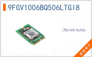 9FGV1006BQ506LTGI8