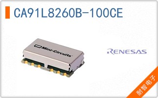CA91L8260B-100CE