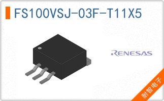 FS100VSJ-03F-T11X5