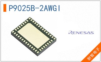P9025B-2AWGI
