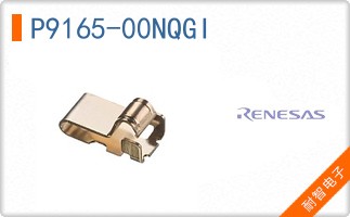P9165-00NQGI