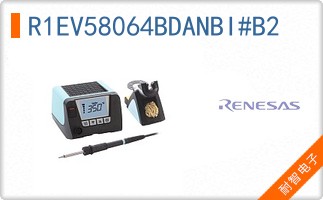 R1EV58064BDANBI#B2
