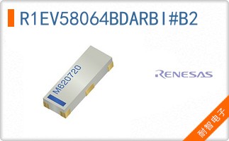 R1EV58064BDARBI#B2