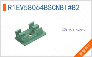 R1EV58064BSCNBI#B2