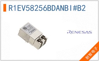 R1EV58256BDANBI#B2