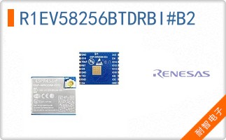 R1EV58256BTDRBI#B2