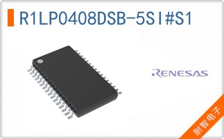 R1LP0408DSB-5SI#S1