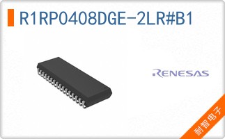 R1RP0408DGE-2LR#B1