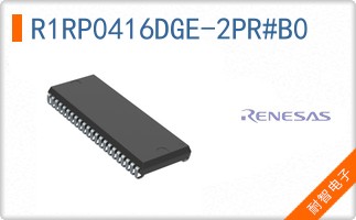R1RP0416DGE-2PR#B0